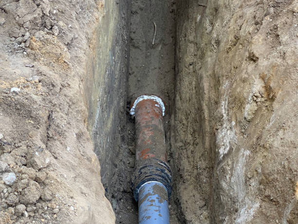 Best Professional water damage repair  in Guttenberg, NJ