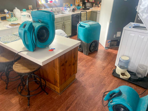 Best Mold removal after water damage  in Guttenberg, NJ