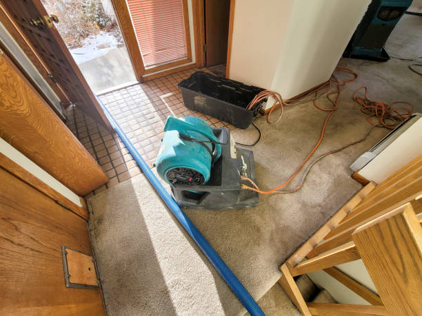 Best Water damage restoration near me  in Guttenberg, NJ