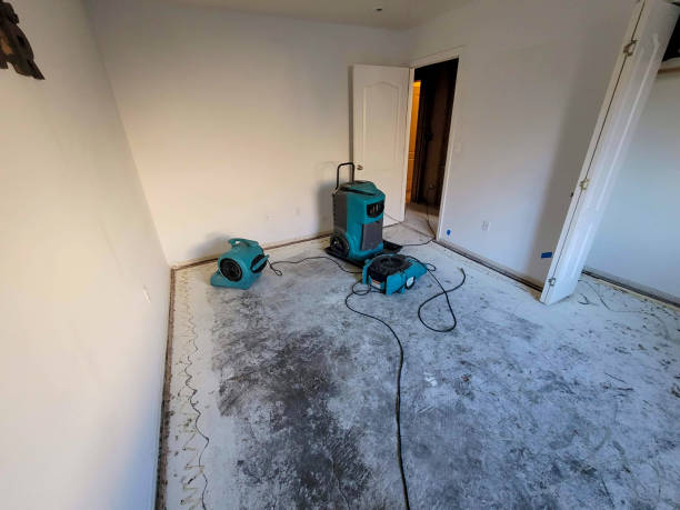 Best Water damage contractors near me  in Guttenberg, NJ