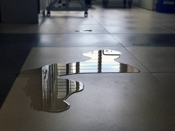 Best Water damage restoration company  in Guttenberg, NJ