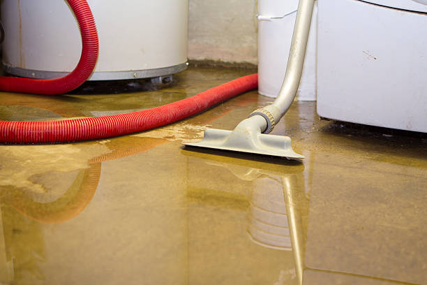 Best Water damage restoration insurance claims  in Guttenberg, NJ