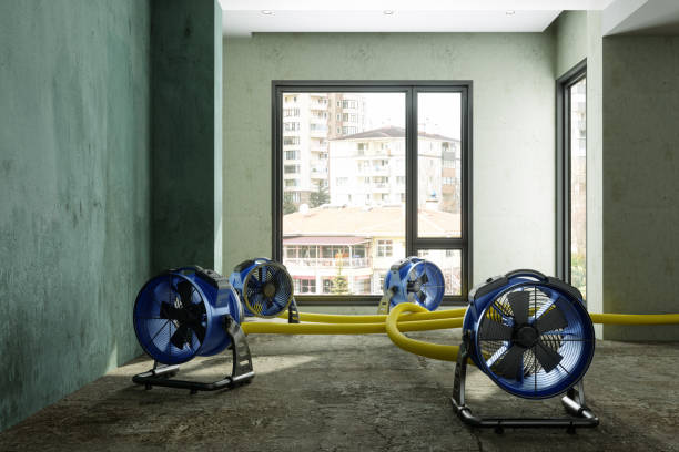 Best Carpet water damage restoration  in Guttenberg, NJ